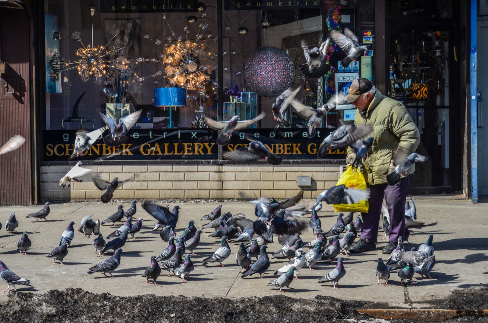Man Feeding Pigeons
